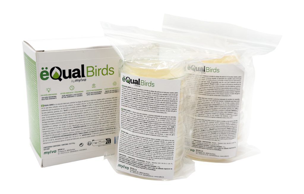 EQUAL BIRDS PACK