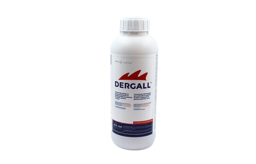 [3007] DERGALL 100ML